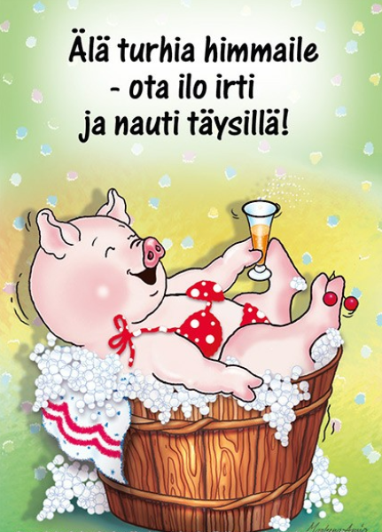Ansio Lyyli nauti täysillä kortti